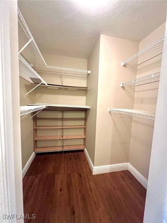 spacious closet featuring dark hardwood / wood-style flooring