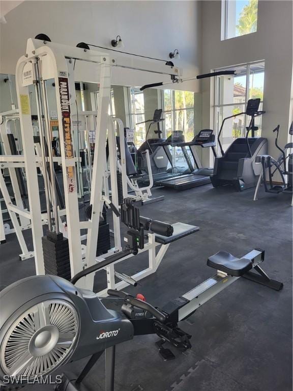 exercise room featuring a high ceiling