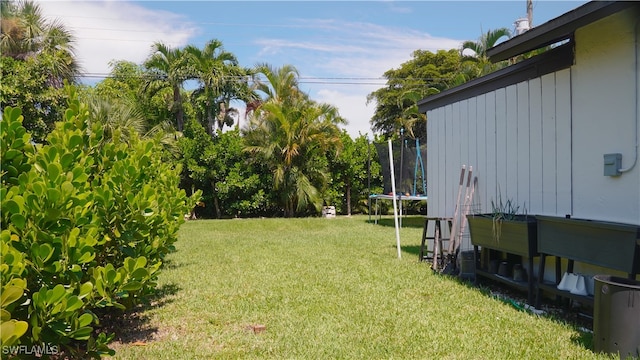 view of yard with a trampoline