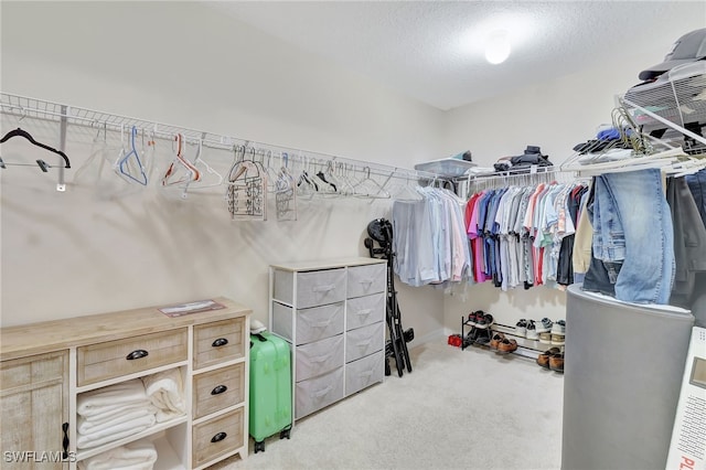 spacious closet featuring light carpet