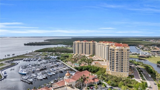 bird's eye view with a water view