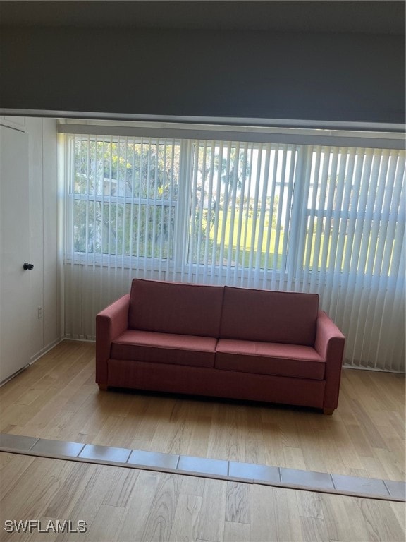 living room with light hardwood / wood-style flooring