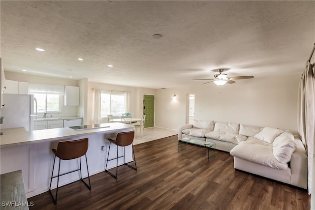 living room with dark wood-type flooring, ceiling fan, a textured ceiling, and sink