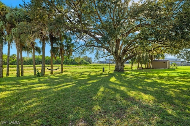 321 Shadow Lakes Dr, Lehigh Acres, FL 33974 - view of yard featuring an outbuilding and a shed