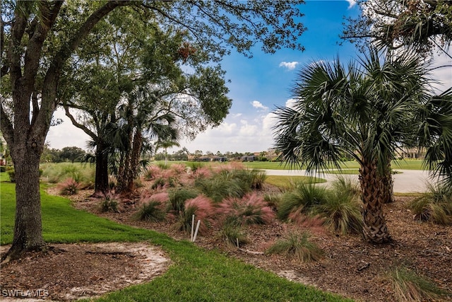 view of home's community with a lawn