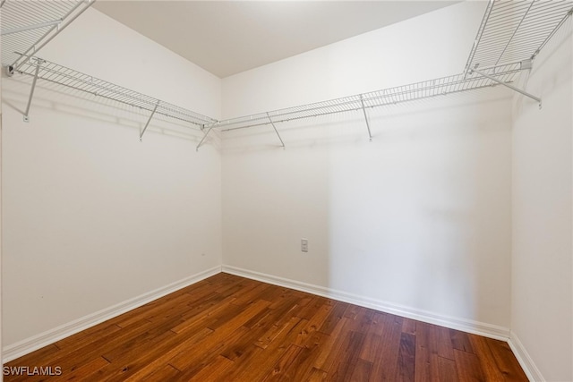 walk in closet with hardwood / wood-style floors