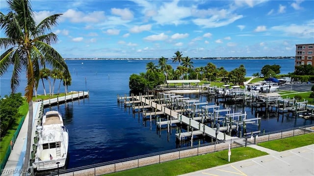 dock area with a water view