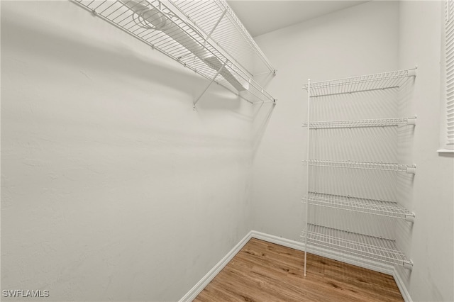 walk in closet featuring hardwood / wood-style floors