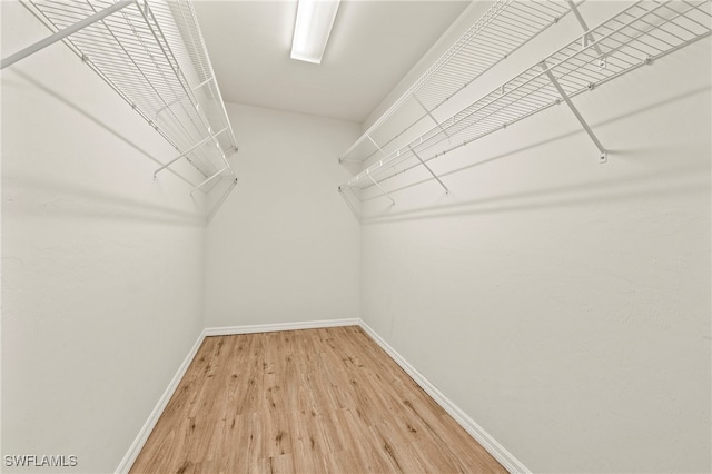 spacious closet with hardwood / wood-style flooring