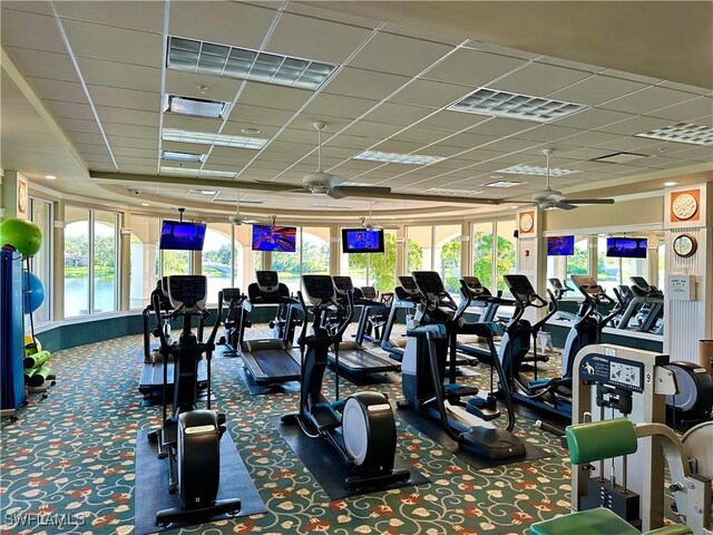 workout area featuring ceiling fan, a paneled ceiling, plenty of natural light, and dark colored carpet