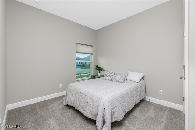 bedroom with carpet flooring