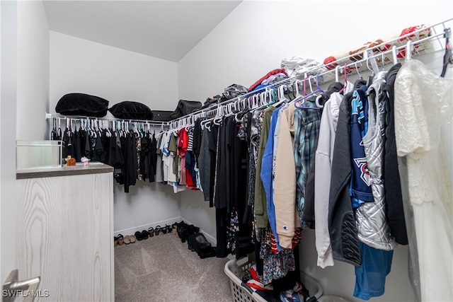 walk in closet featuring carpet flooring