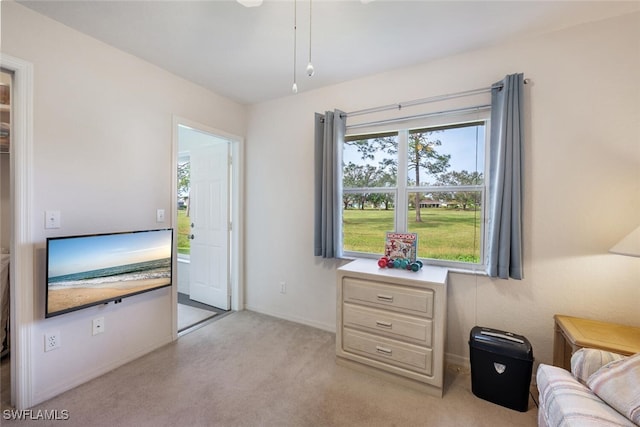 sitting room with light carpet