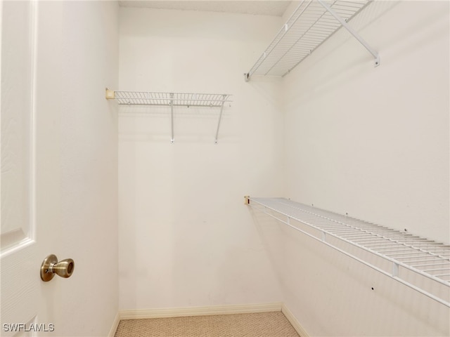 walk in closet featuring carpet flooring