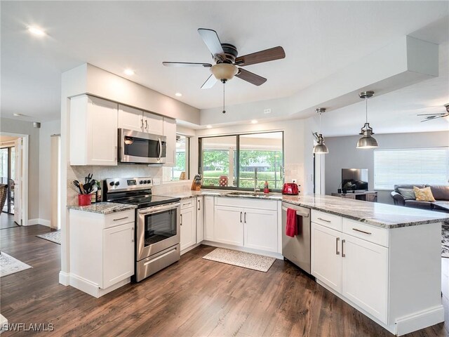 kitchen with appliances with stainless steel finishes, white cabinets, and dark hardwood / wood-style flooring