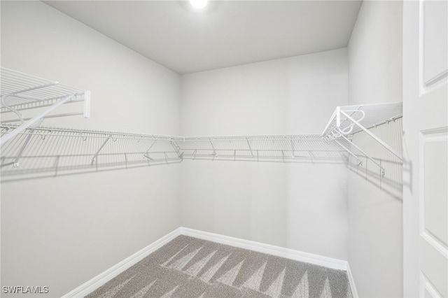 44290 Frontier Dr, Punta Gorda, FL 33982 - spacious closet with carpet