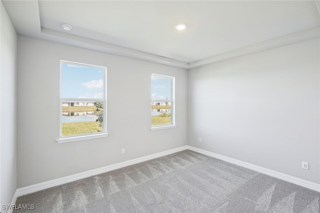44290 Frontier Dr, Punta Gorda, FL 33982 - spare room with a tray ceiling, carpet floors, and a wealth of natural light