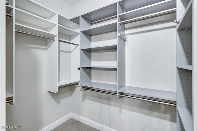 spacious closet with carpet floors