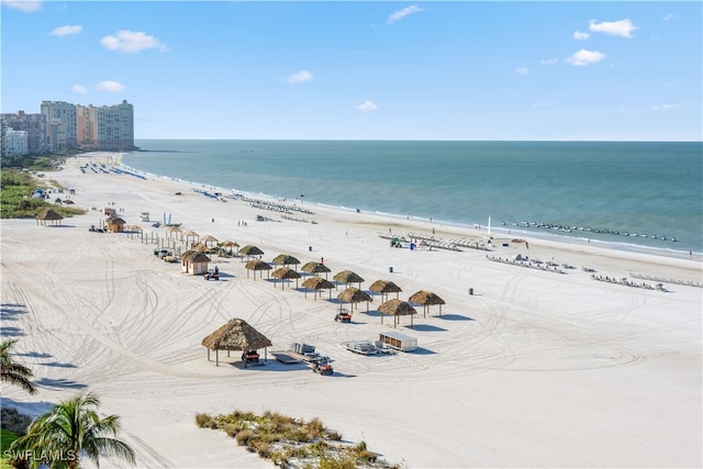 view of water feature featuring a view of the beach