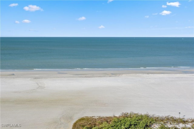 view of water feature featuring a view of the beach