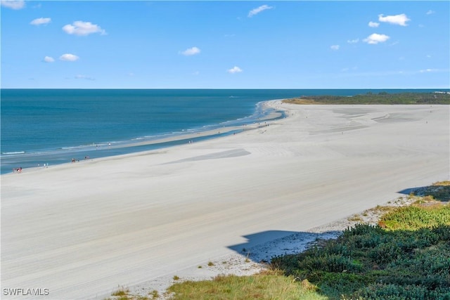 view of water feature with a beach view