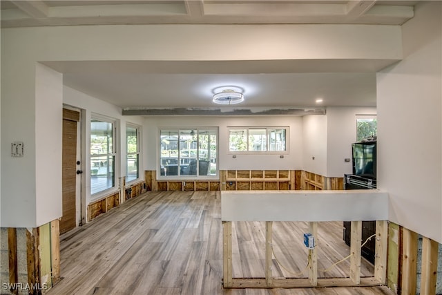 kitchen with wood-type flooring