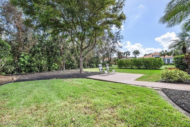 view of yard featuring a patio