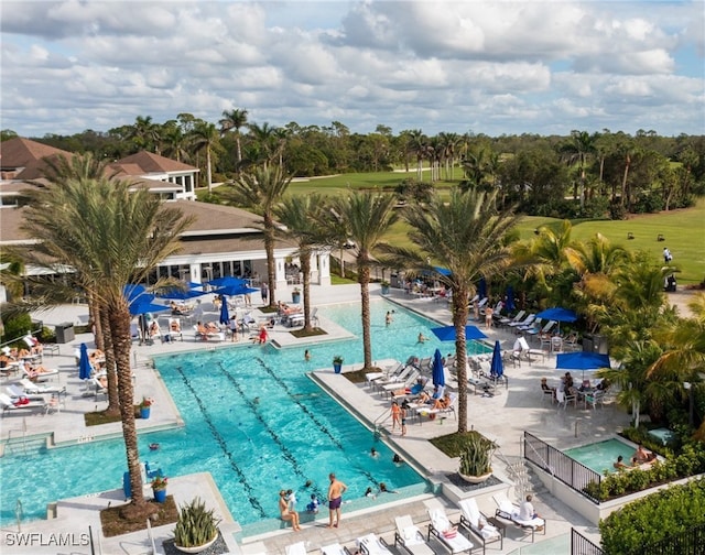 view of swimming pool with a patio