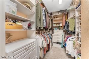 view of spacious closet