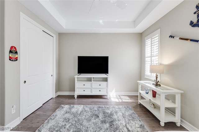 interior space featuring a closet, a raised ceiling, and dark hardwood / wood-style flooring