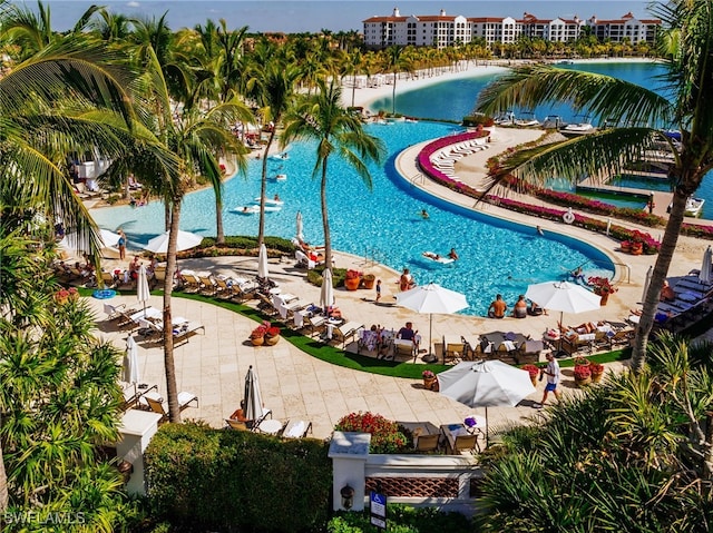 view of pool with a patio area