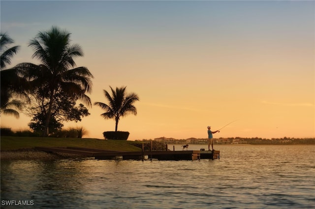 view of water feature with a dock