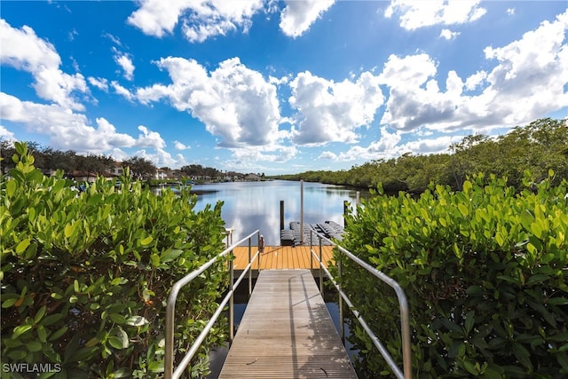 dock area featuring a water view