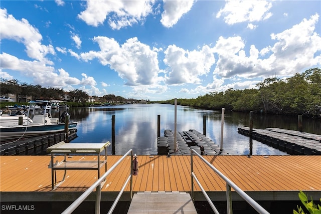 dock area with a water view