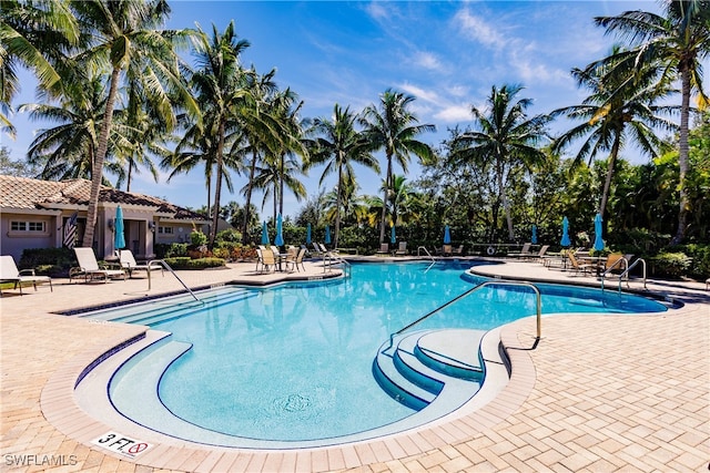 view of swimming pool featuring a patio area