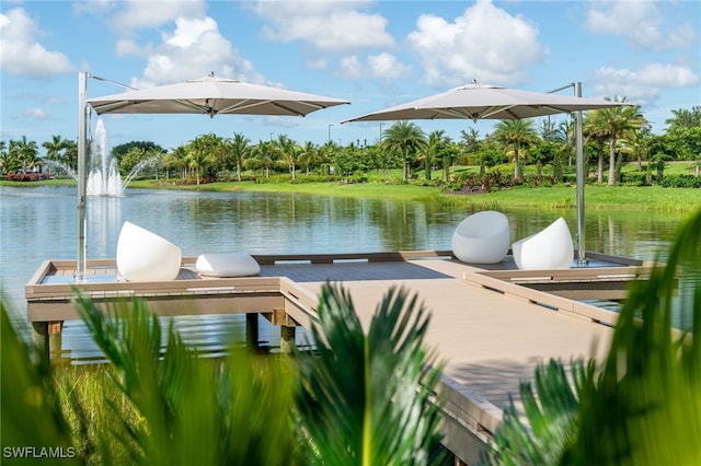 dock area with a water view