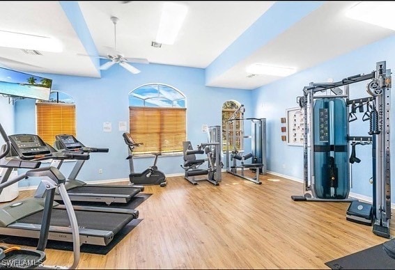 exercise area featuring hardwood / wood-style flooring and ceiling fan