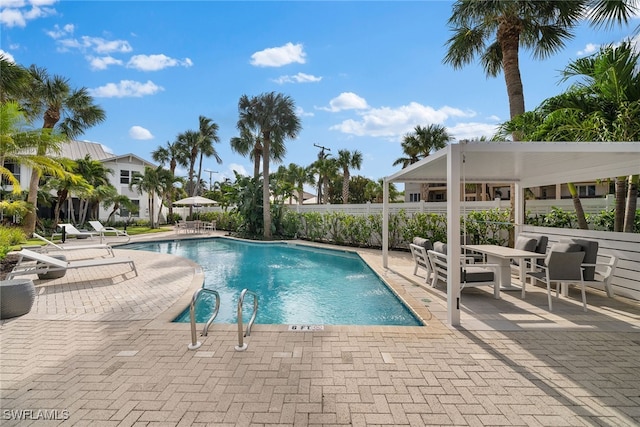 view of swimming pool with a patio