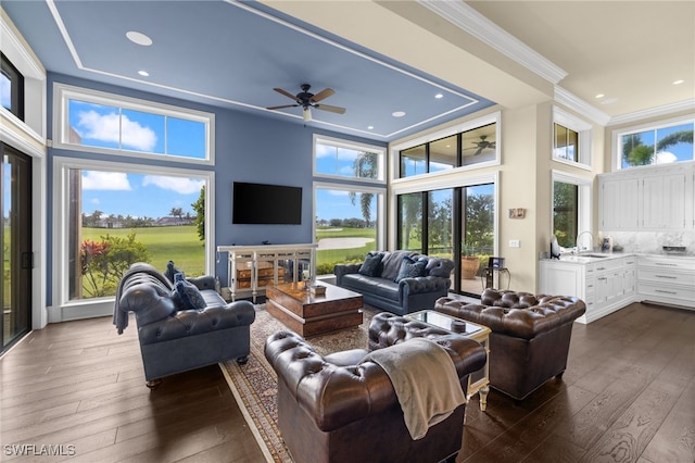 living room featuring a high ceiling, dark wood-type flooring, and plenty of natural light