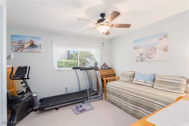 workout room with ceiling fan and carpet