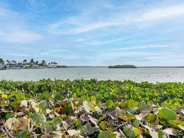 property view of water