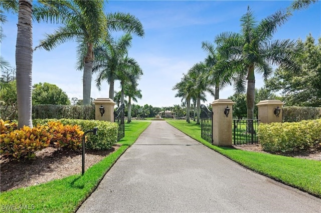 exterior space with a lawn