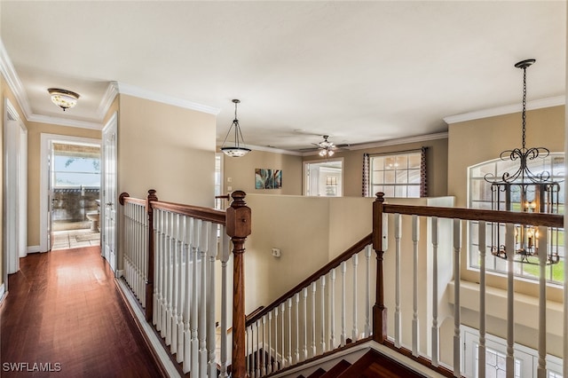 corridor featuring crown molding, dark hardwood / wood-style floors, and an inviting chandelier