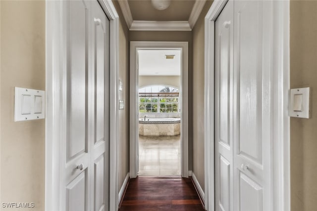 hall featuring crown molding and dark hardwood / wood-style flooring