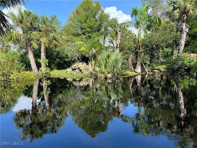 view of water feature