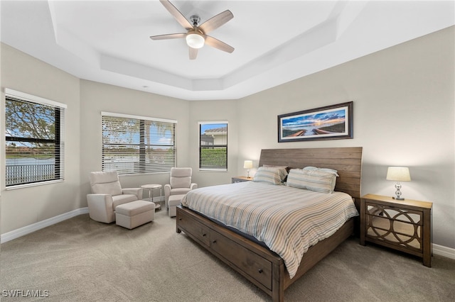 4365 Caldera Cir, Naples, FL 34119 - bedroom featuring carpet flooring, baseboards, multiple windows, and a tray ceiling
