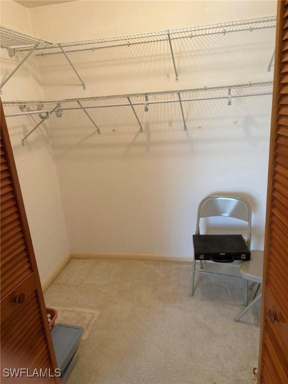 spacious closet featuring carpet