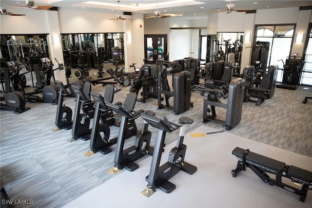 exercise room with ceiling fan and carpet