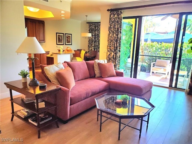 living room featuring light hardwood / wood-style flooring