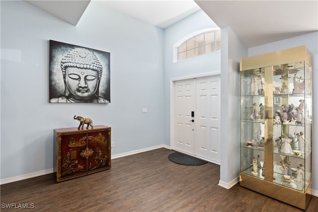 foyer entrance with dark hardwood / wood-style floors